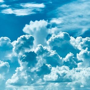 Meet your Posher, Dominique